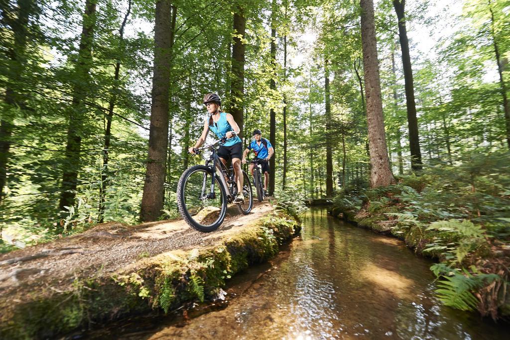 Ferienhotel Hubertus Bodenmais Exteriör bild